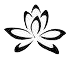 chi gung flower
